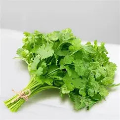 Coriander