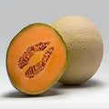 Muskmelon