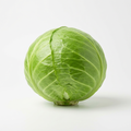 Fresh Cabbage