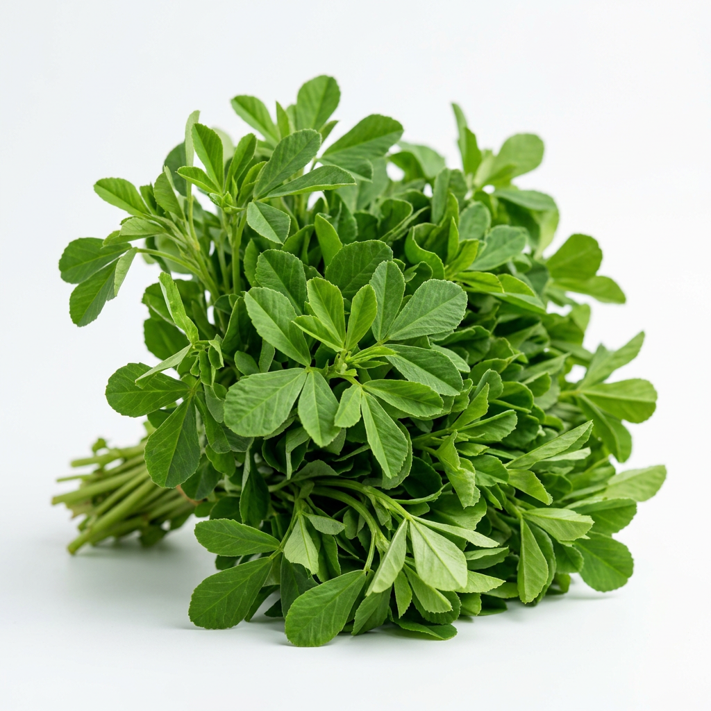 Fresh Methi