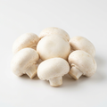 Fresh Mushroom