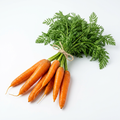 Fresh Carrot