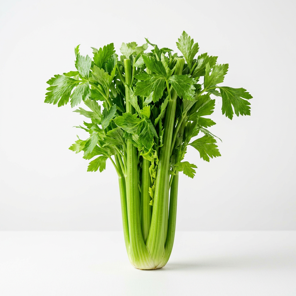 Fresh Celery