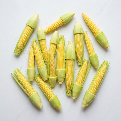 Fresh Baby Corn