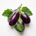Three fresh purple brinjals with green leaves on white background
