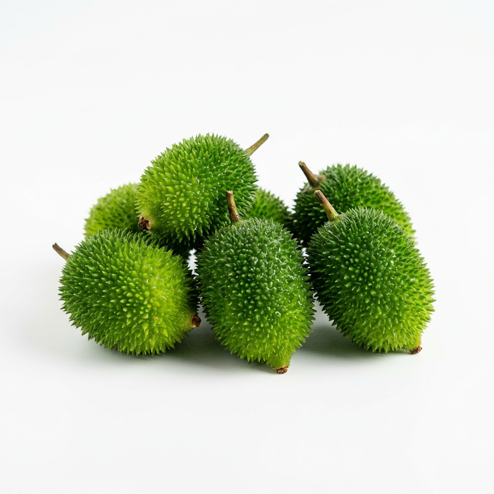 Fresh spiny gourd kantola neat cluster on white background
