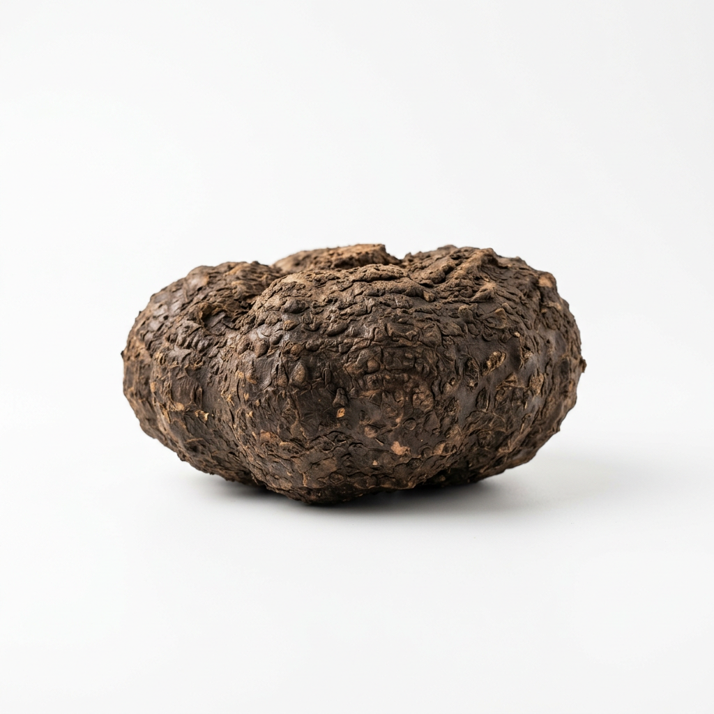 Fresh Yam Suran