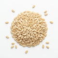 Shelled white watermelon seed kernels on a white background