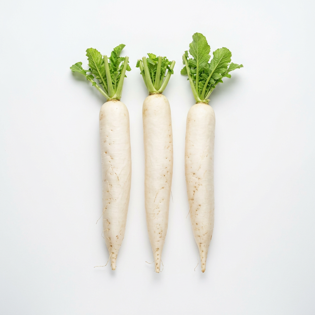 Radish product photo